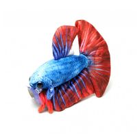 greenpleco-betta-red-blue-plushie~3