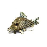 greenpleco-sterbai-corydoras-plushie~3