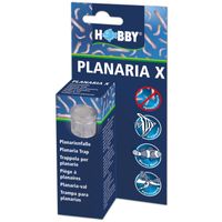 hobby-planaria-x-planarienfalle