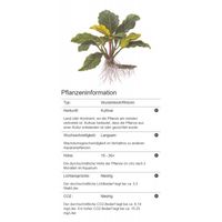 anubias-barteri-coffeifolia-kaffeeblaettriges-speerblatt~6